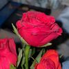 mainwaseem170