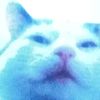 user5225887299109