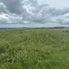 ollie_943