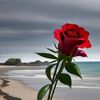 user3348101812473