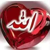user1356712937150