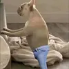 skinidzins