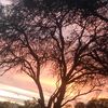 josue_gutirres_oe723
