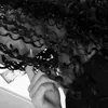 _dessahxh_