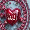 user65000317629418