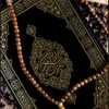 shazh684