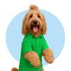 sitprettypup