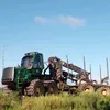 9566o462