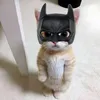 unknowstupidman