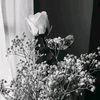 _.ir.ara