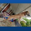 andrew.persaud59