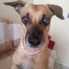 amoramora94