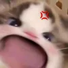 mysolaceshai