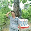 user8781209775026