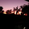 debbie_die_louw