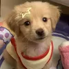 k_huyen86