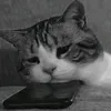 giangho592
