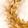 laigianhu...00