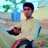 majid.dhudigmail.com