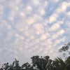 manhnguyen4360