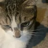 kattyle09