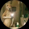 thebear2927