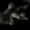 lol.niewiemxdd