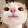 putriuti6_