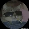 tnphng79