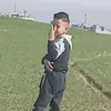 am12ddd