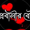 samiul.tanjil