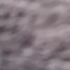 olii_wiaa55