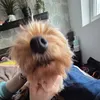caseylovesyouareinlove