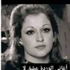 amiirawarda111