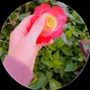 aa_aa_686