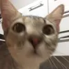 viccka__