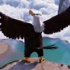 mightyeeeeagle