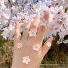 marwa_14.y