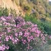 gurbetgb_0147