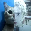 ..tearrdr0p