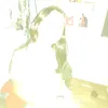 ferracini.rsrsrs