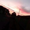 jose_5282