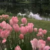 z00__200