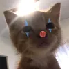 tz.ahqnr
