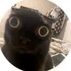 kazumimlbb_