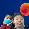 nhinconcac2122