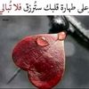 user3801093566363