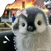 nadya_ramadhani05