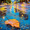 yasin.arafat5248