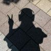 shfyah01_